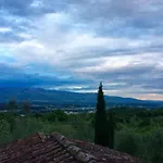 Casanuova *