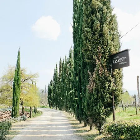 Farma Casanuova