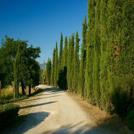 Casanuova Farma Figline Valdarno