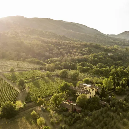 Casanuova *