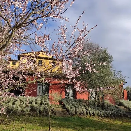 Casanuova Farma *