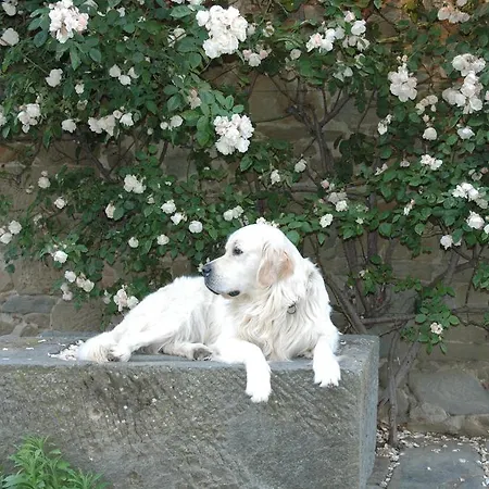 Casanuova Figline Valdarno