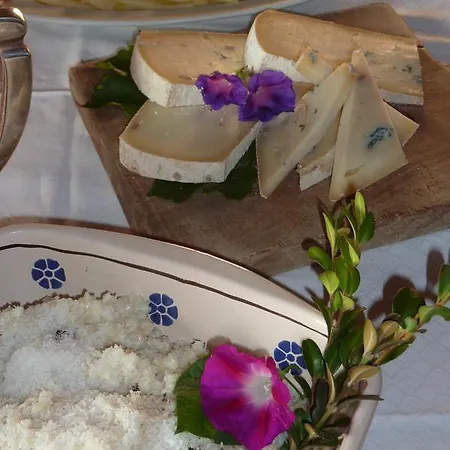 Casanuova Farm stay Figline Valdarno